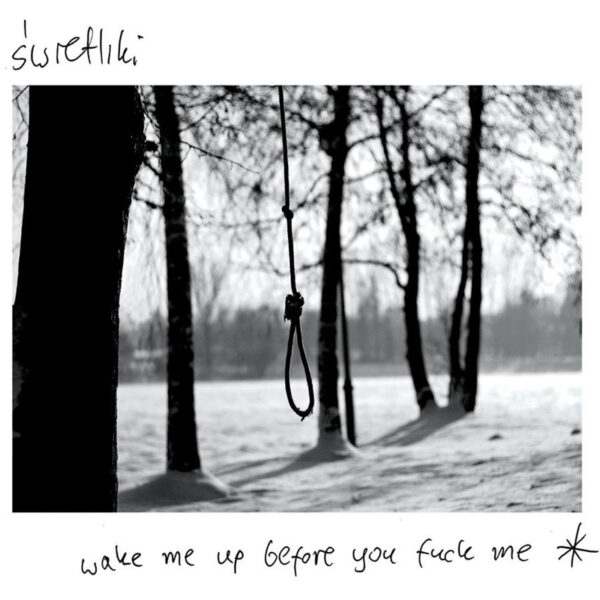 Winyl "Wake Me Up Before Fuck Me" Zespołu Świetliki